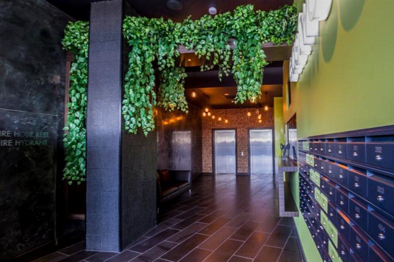 Eastwood Apartments Брисбен Экстерьер фото The lobby of the building